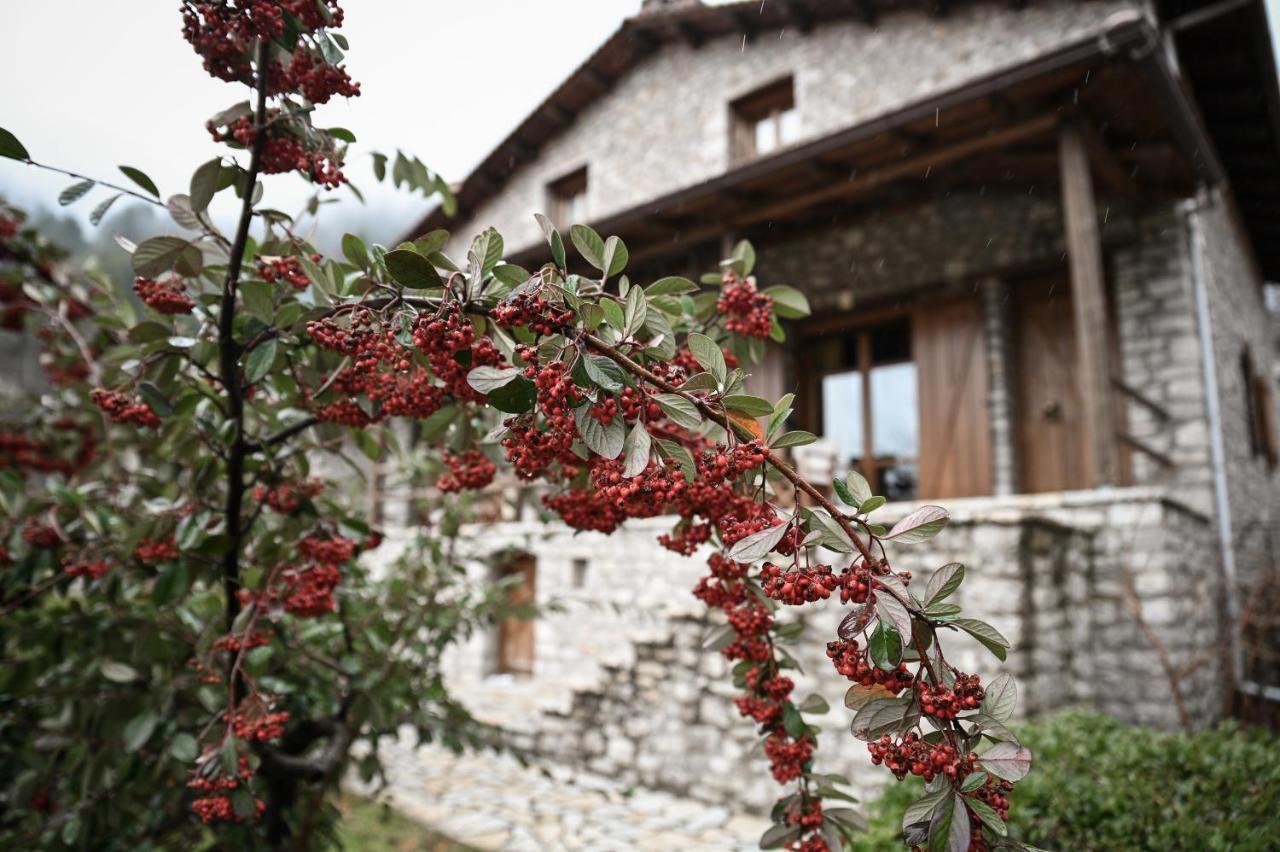Petrina Theohari Lekhouri Exterior foto