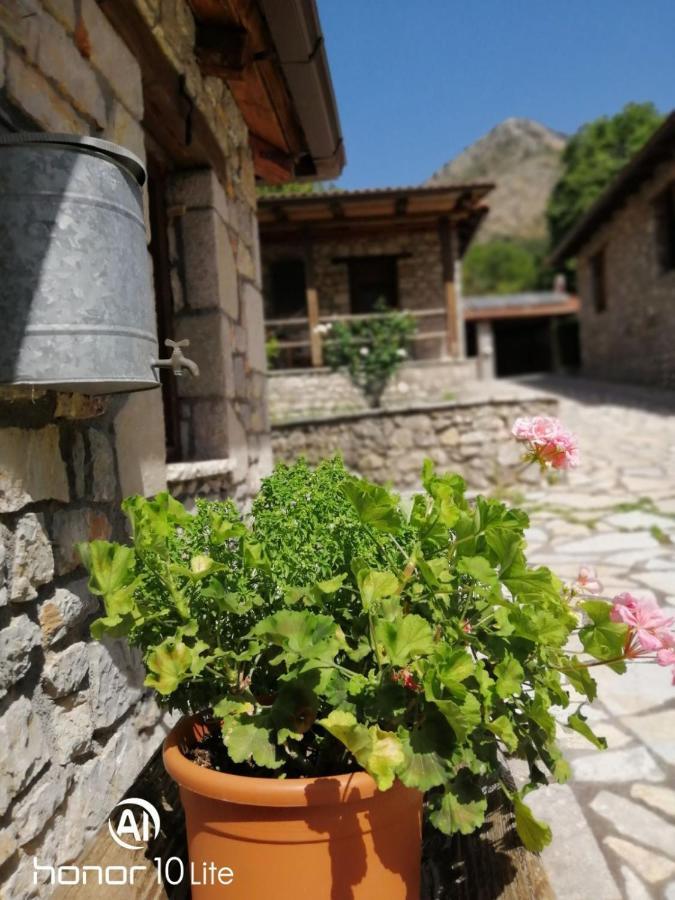 Petrina Theohari Lekhouri Exterior foto
